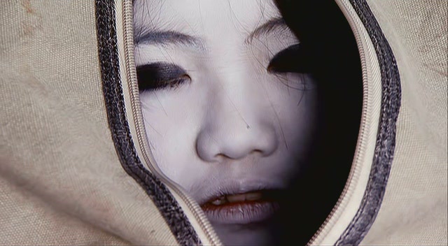 The.Grudge.Old.Lady.in.White.2009.DVDRip.XviD[(019312)21-11-16].JPG